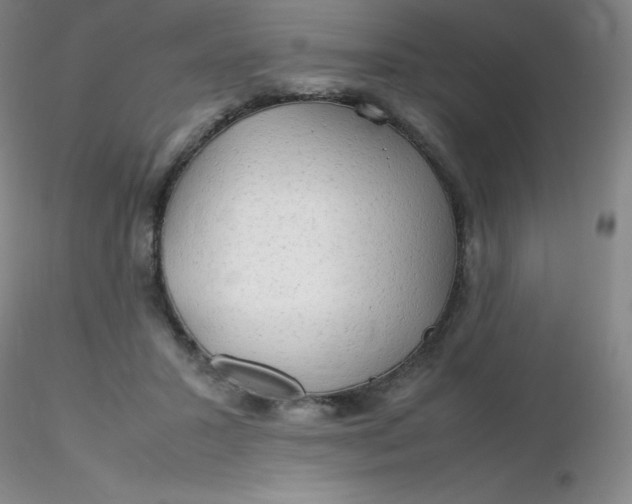 X0000116310407200912211927