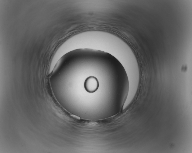 X0000116310409200912211927