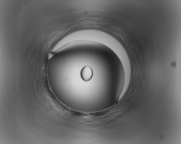 X0000116310411200912211927