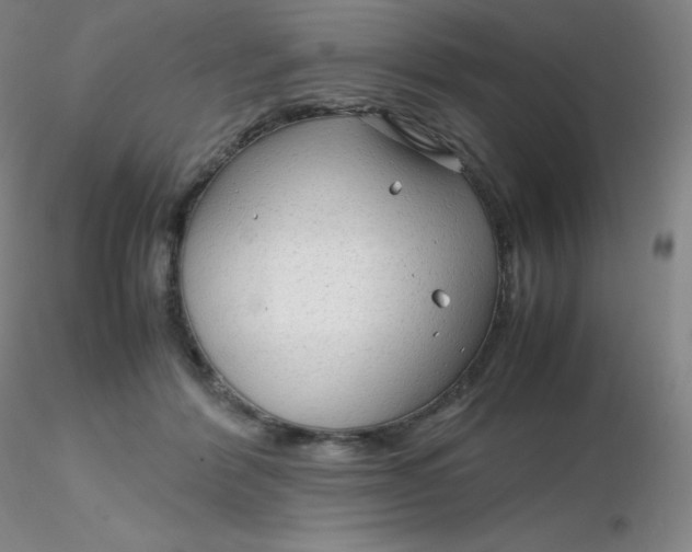 X0000116310412200912211927