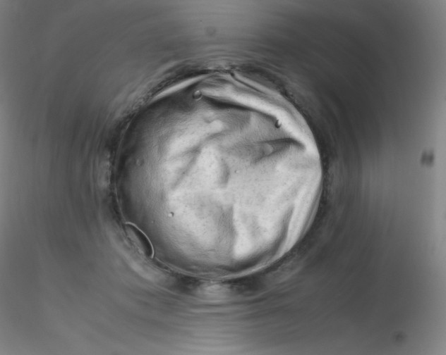 X0000116310413200912211927