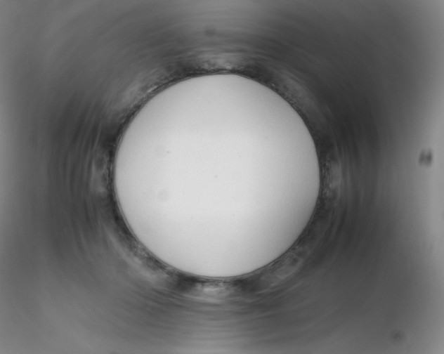 X0000116310414200912211927