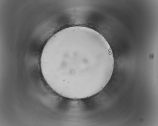 X0000116310415200912211927