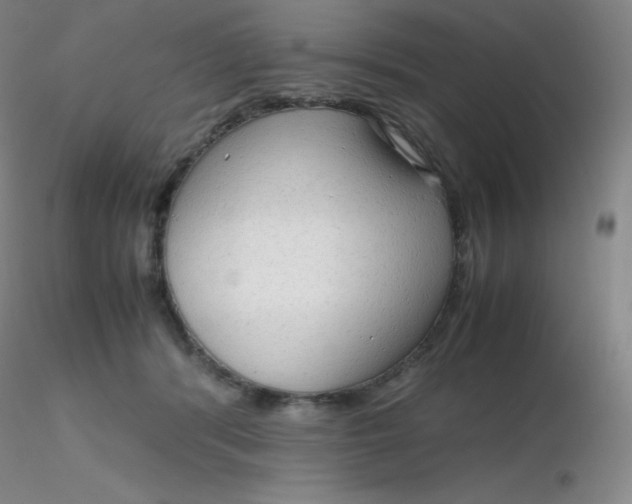 X0000116310416200912211927