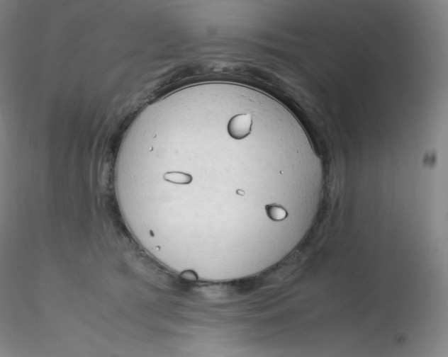 X0000116310417200912211927