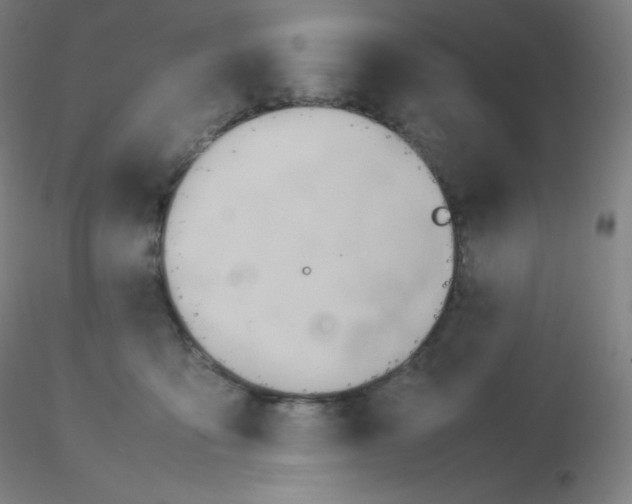 X0000116310419200912211926