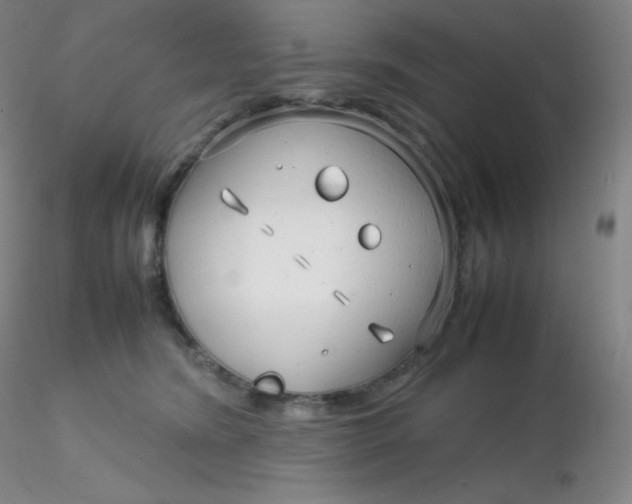 X0000116310420200912211926