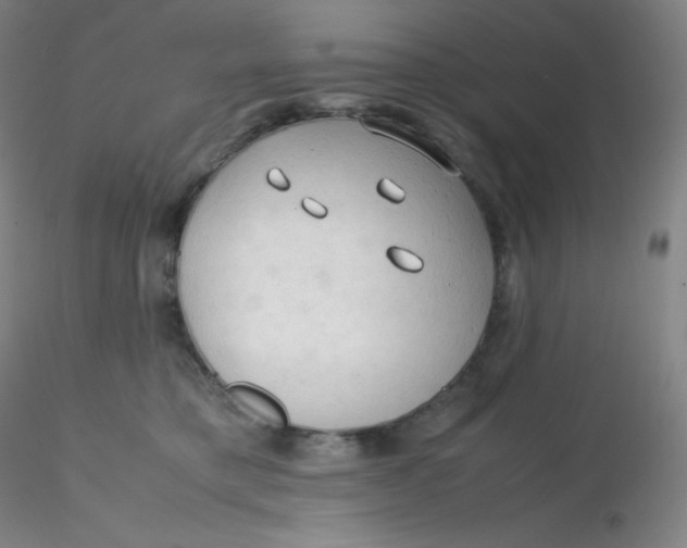 X0000116310421200912211926