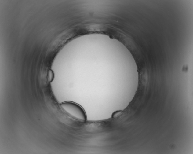 X0000116310422200912211926