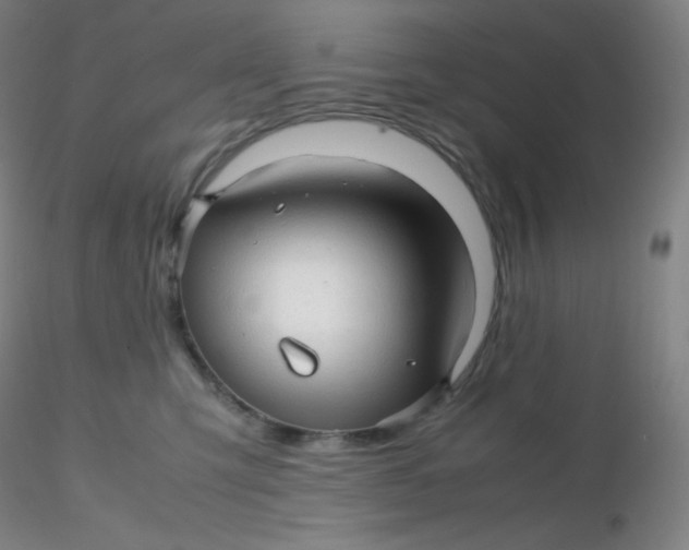 X0000116310423200912211926