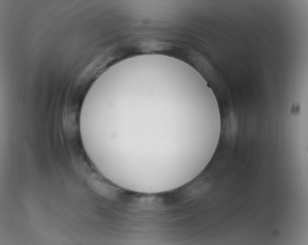 X0000116310426200912211926