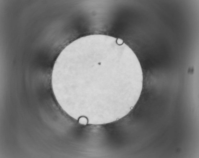 X0000116310427200912211926