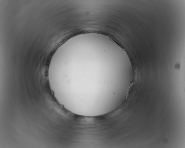 X0000116310428200912211926