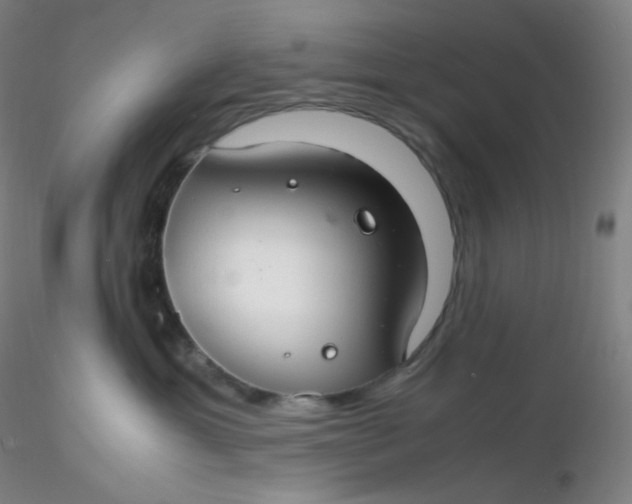 X0000116310429200912211926