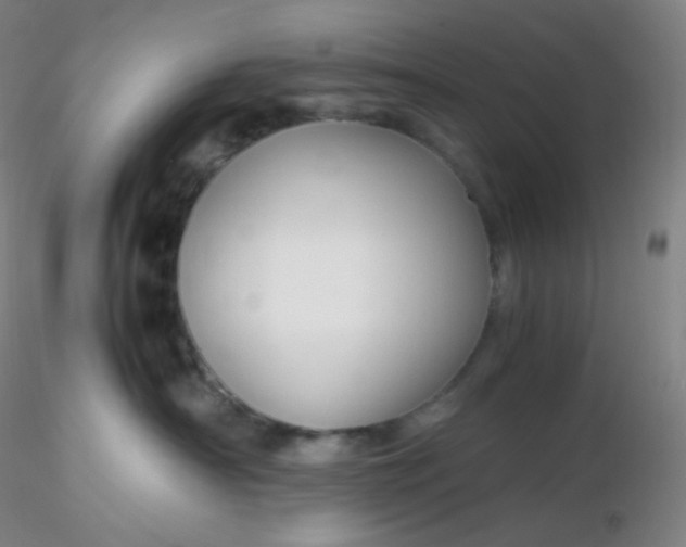 X0000116310430200912211926