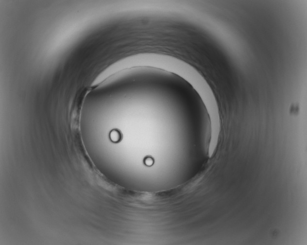 X0000116310431200912211926