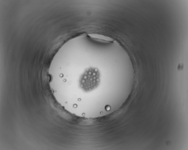 X0000116310432200912211926