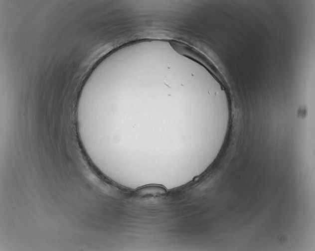 X0000116310433200912211926