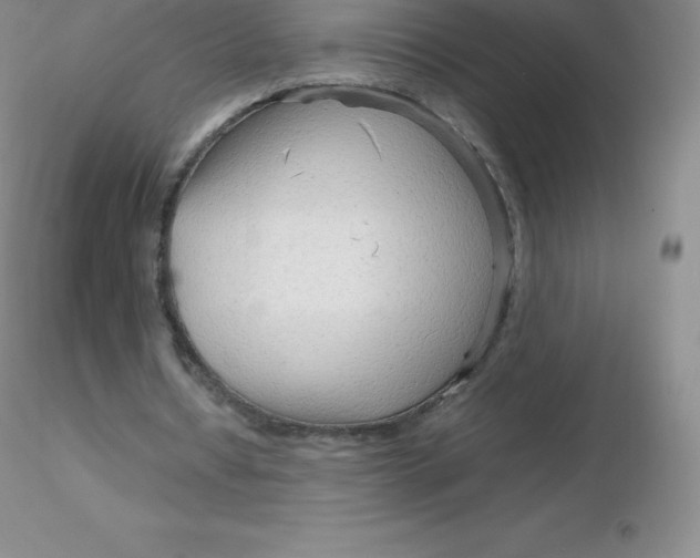 X0000116310434200912211926