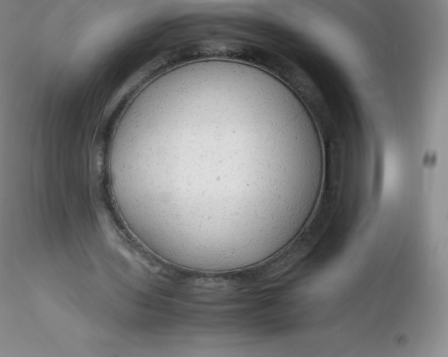 X0000116310435200912211926