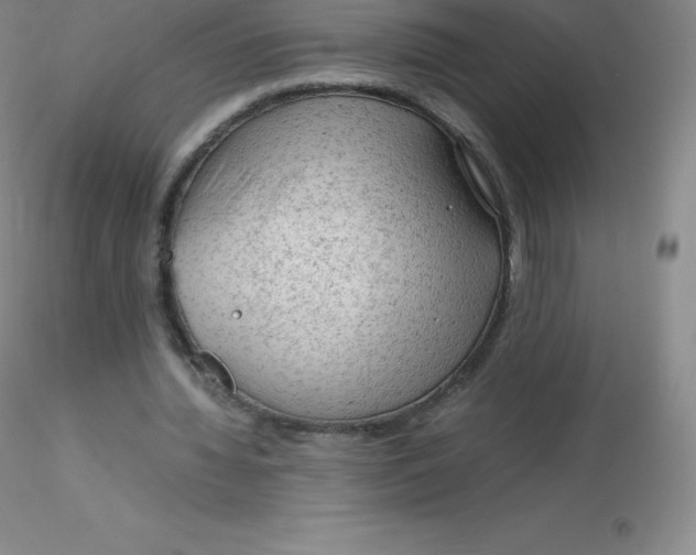 X0000116310436200912211926