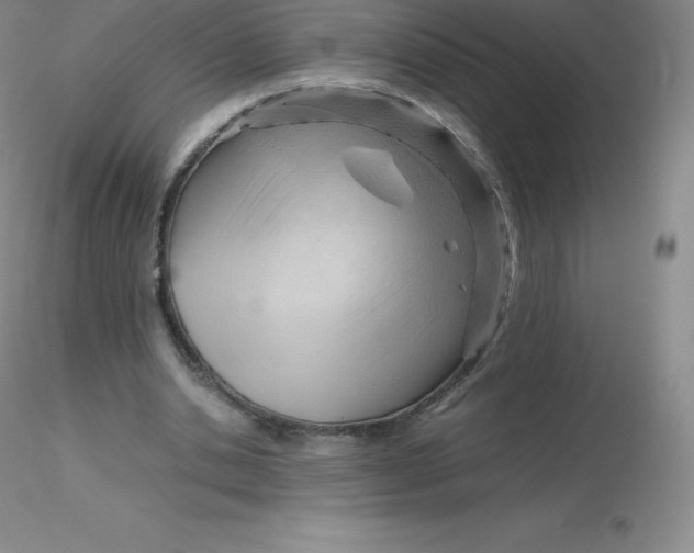 X0000116310438200912211926