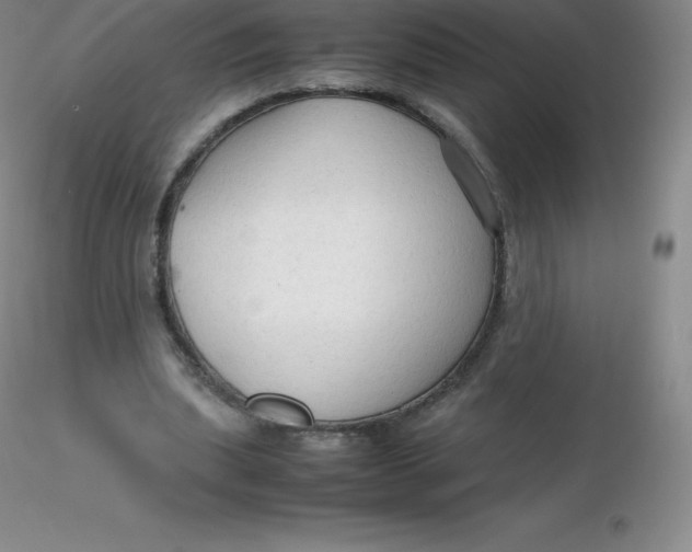 X0000116310439200912211926