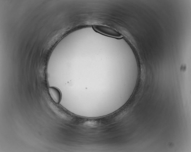 X0000116310441200912211926