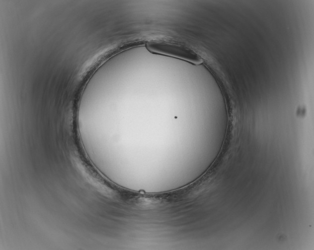 X0000116310442200912211926