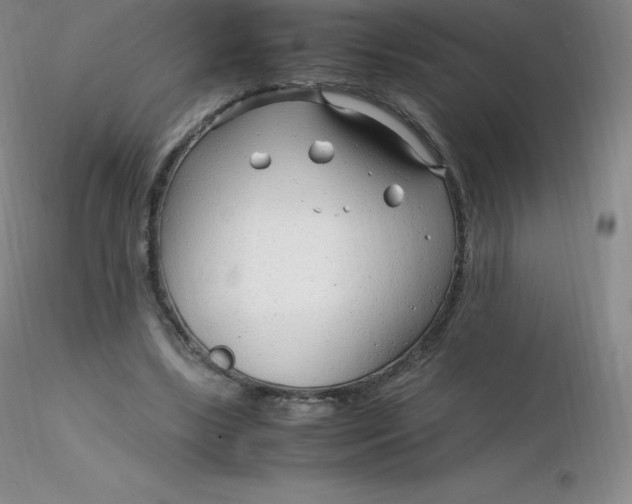 X0000116310443200912211926