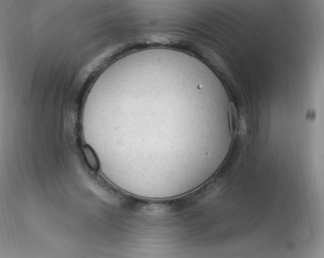 X0000116310444200912211926