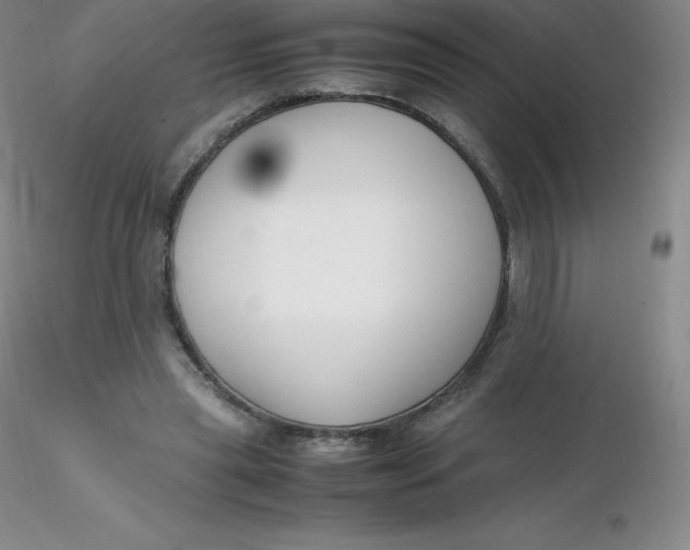 X0000116310445200912211926