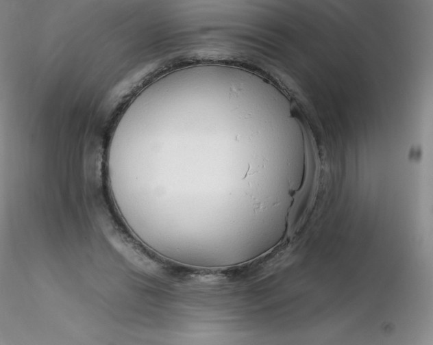 X0000116310446200912211926