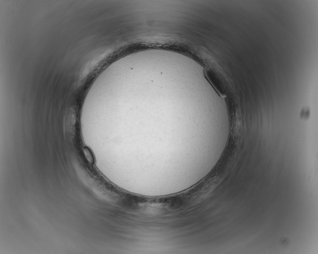 X0000116310448200912211926