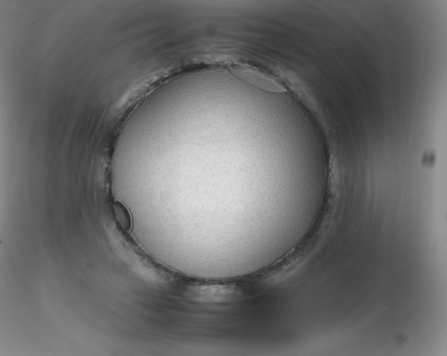 X0000116310449200912211926