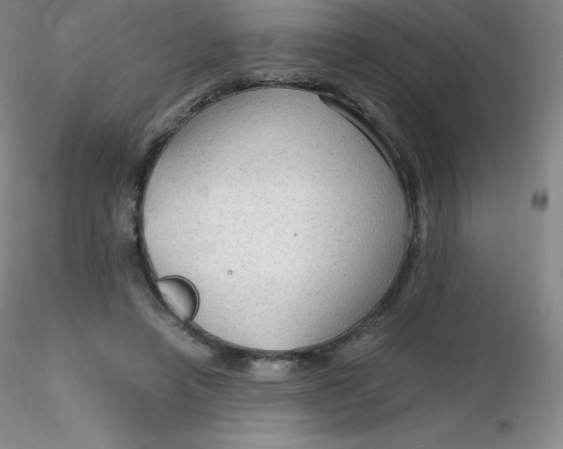 X0000116310450200912211926