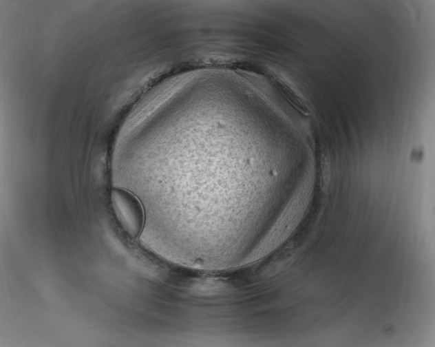 X0000116310451200912211926