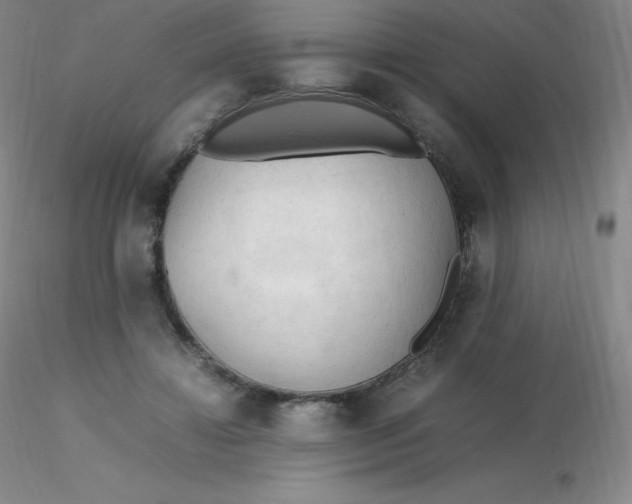 X0000116310452200912211926