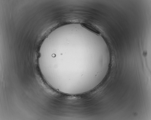 X0000116310453200912211926