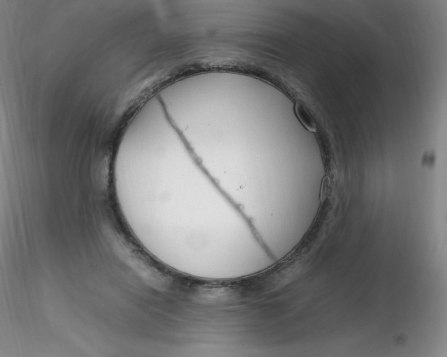 X0000116310454200912211926