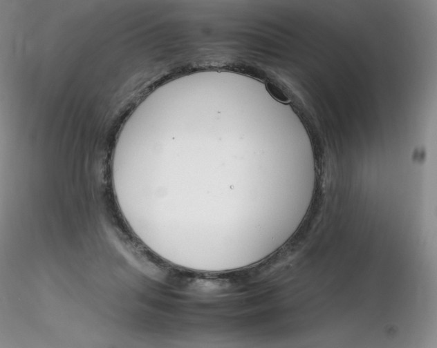 X0000116310455200912211926