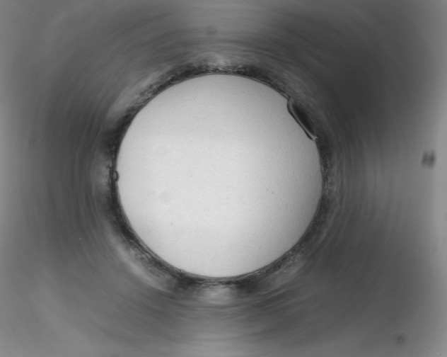 X0000116310456200912211926