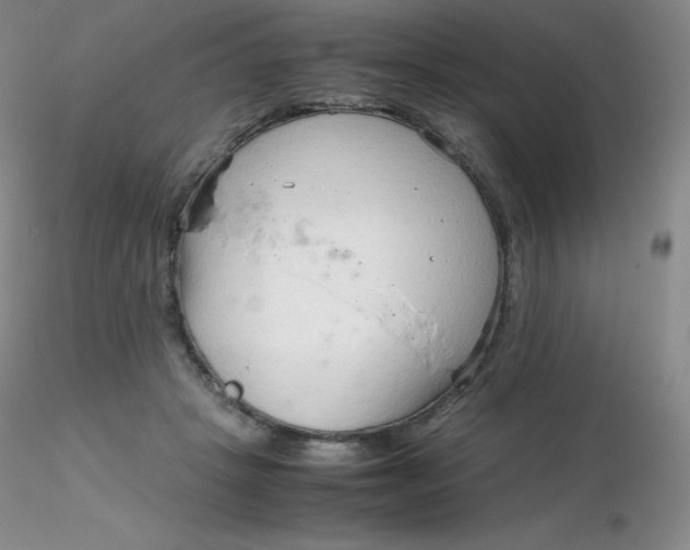 X0000116310457200912211926