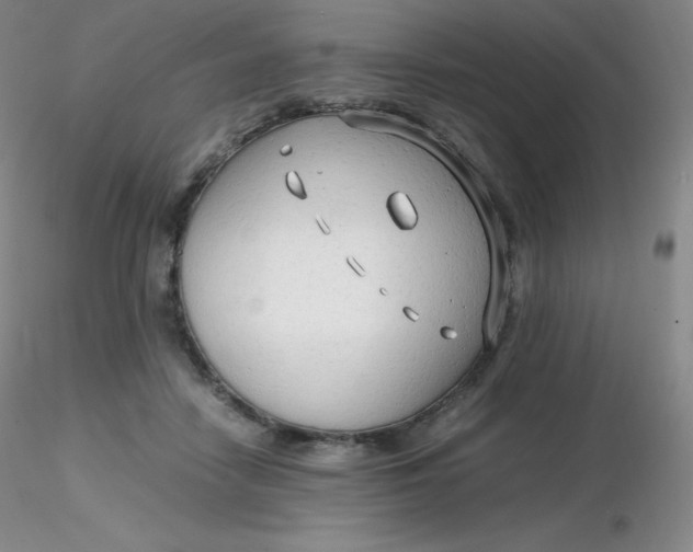 X0000116310458200912211926