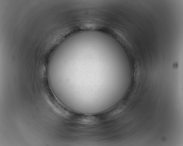 X0000116310459200912211926