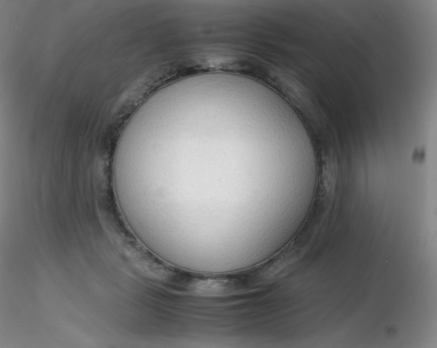 X0000116310461200912211926