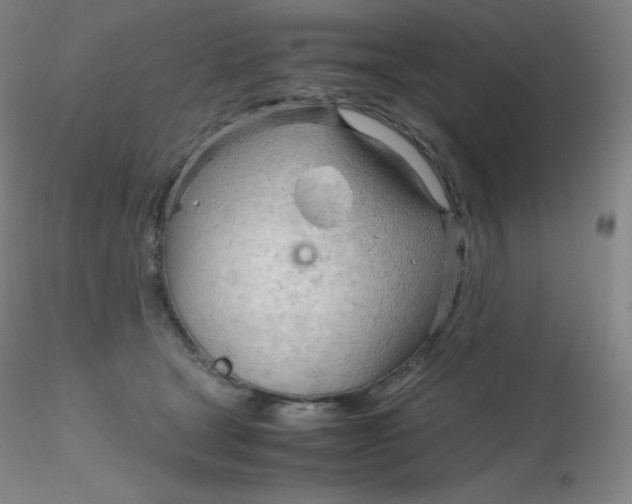 X0000116310465200912211926