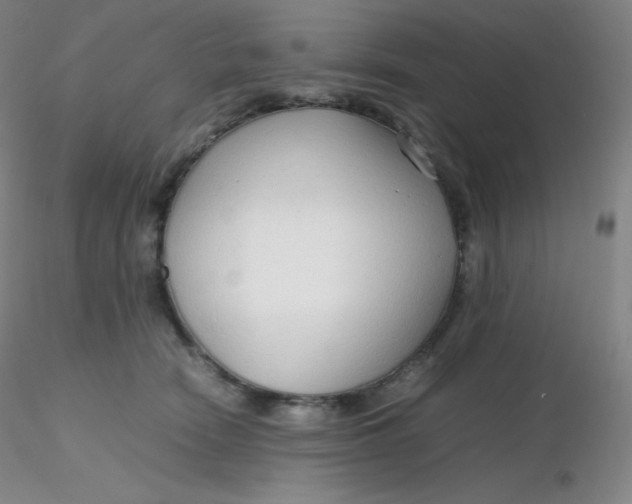 X0000116310466200912211926