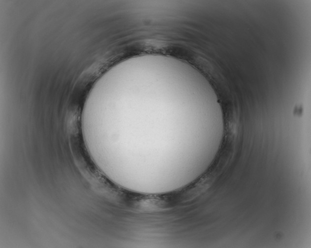 X0000116310468200912211926