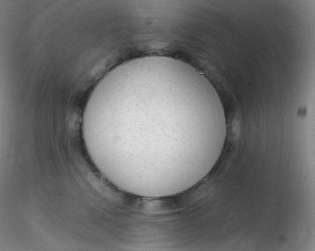 X0000116310472200912211926